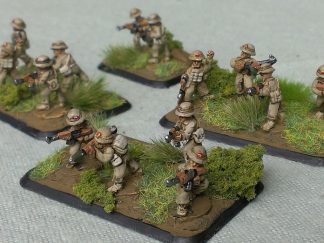 NVA/PAVN Rifle Platoon
